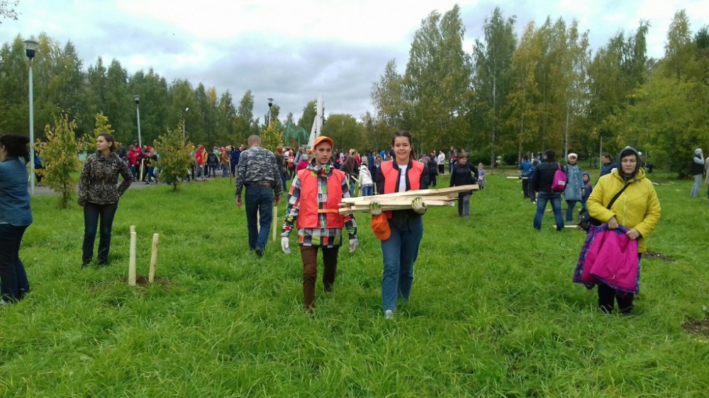 Зеленая акция2545