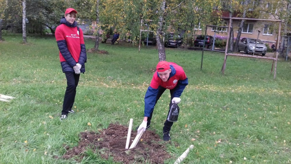 Зеленая акция2586