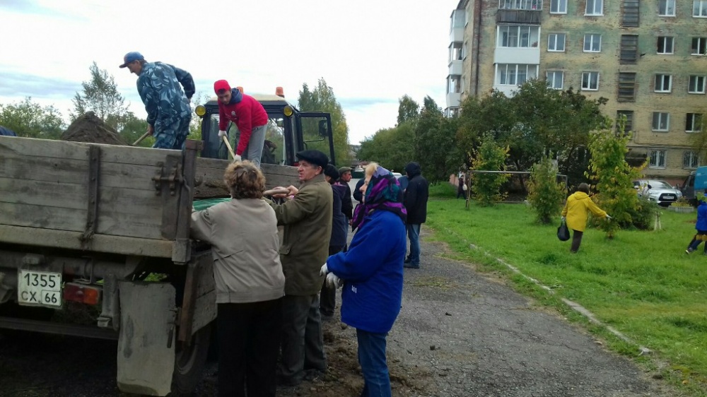 Зеленая акция2587