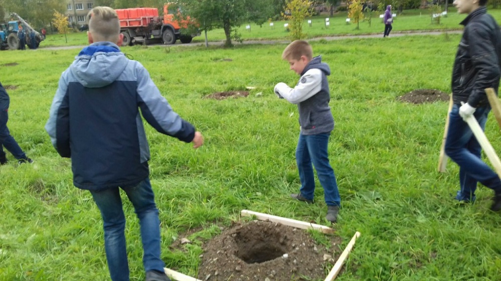 Зеленая акция2558