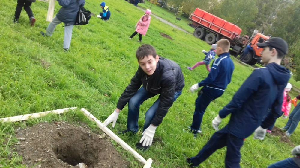 Зеленая акция2611