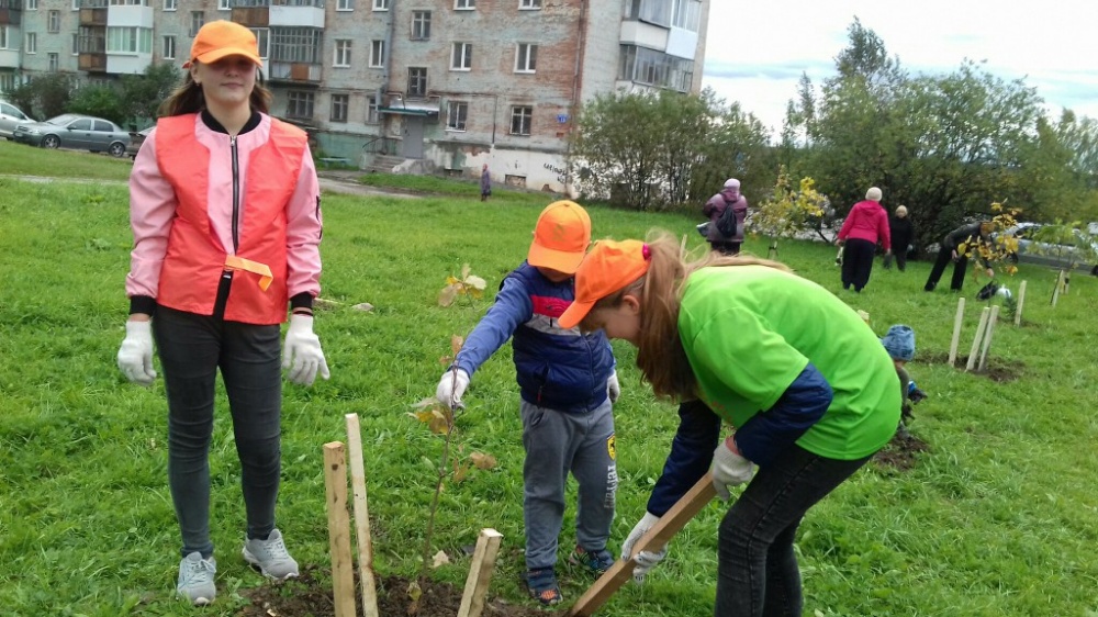 Зеленая акция2585