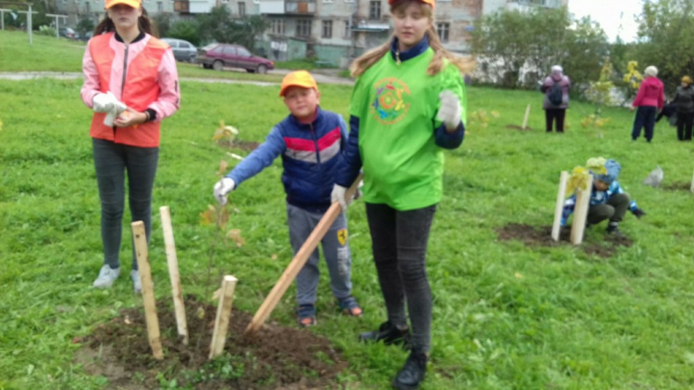 Зеленая акция2559
