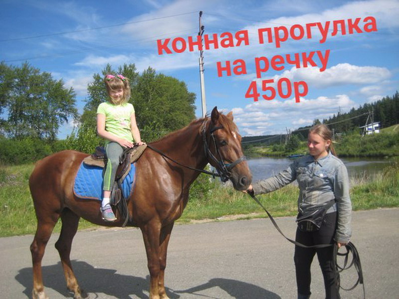 Лошадка на здоровье!