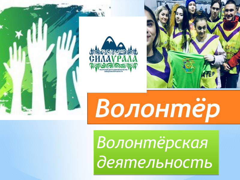 Волонтерская деятельность