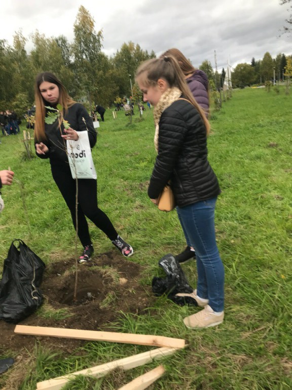 Зеленая акция2603