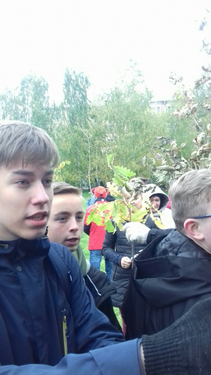 Зеленая акция2577