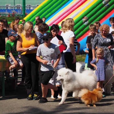 Выставка - "Мой верный друг"1657